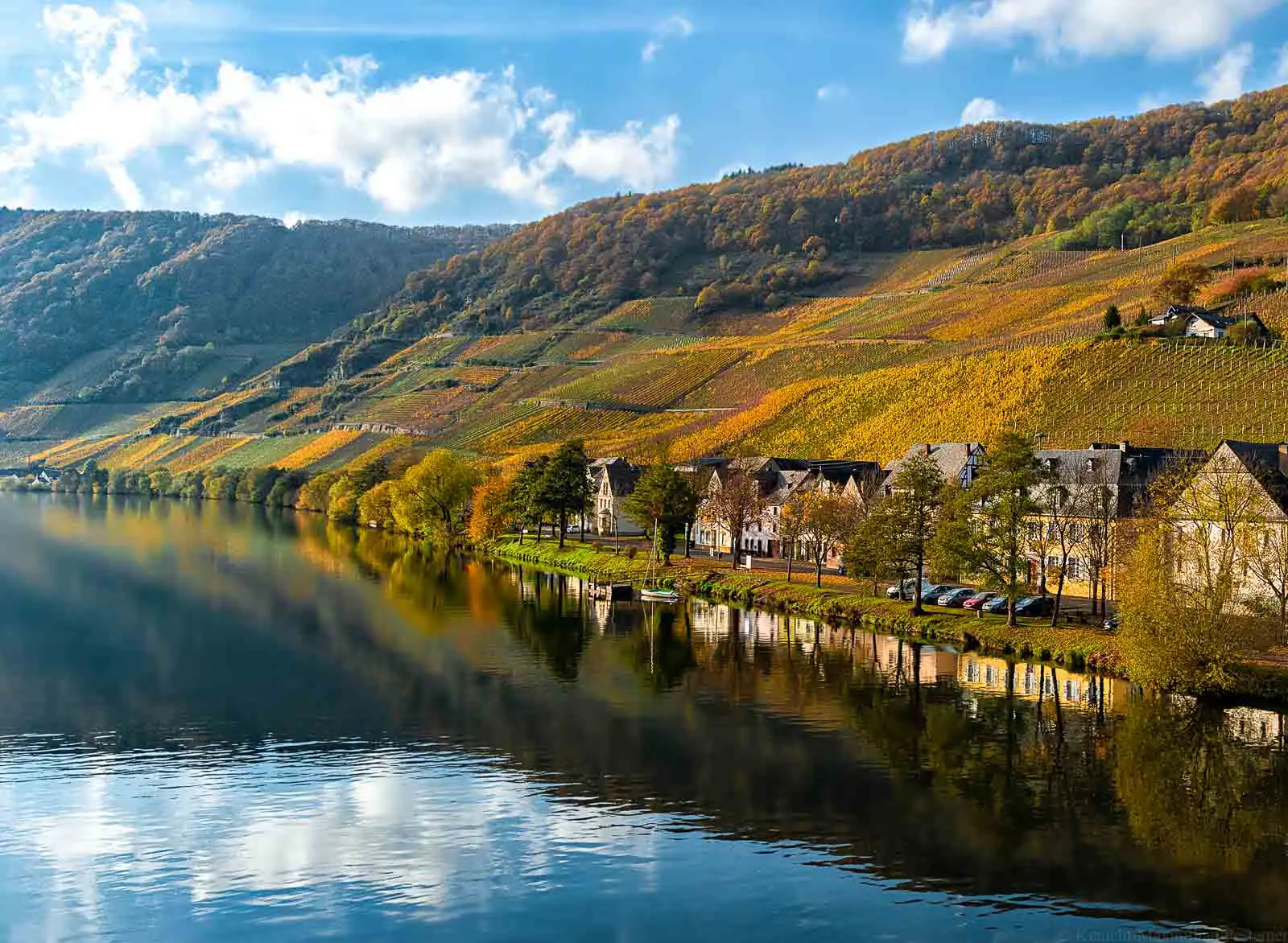 Weingut-Haart-am-Moselufer-in-Piesport.jpg